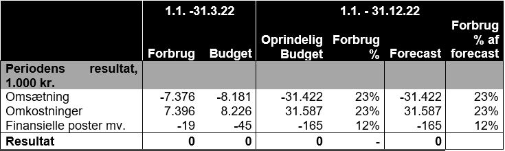 Skema med budgetopfølgning